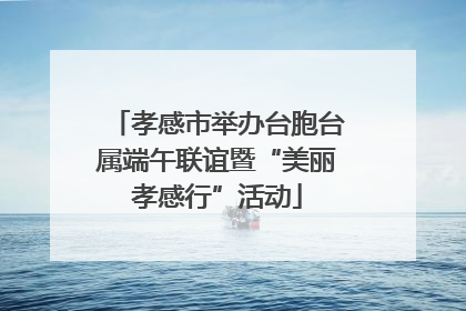 孝感市举办台胞台属端午联谊暨“美丽孝感行”活动
